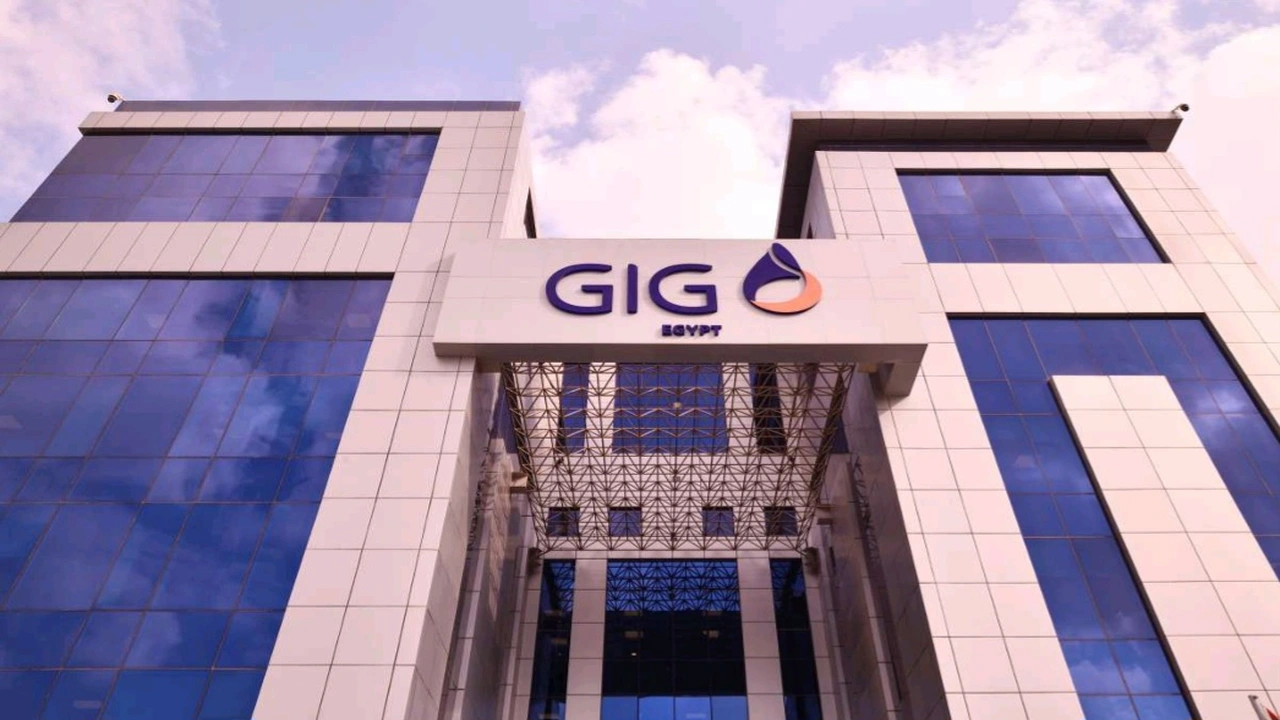 جي آي جي مصر ترعى تحدي Insurtech في الجامعة الأمريكية بالقاهرة